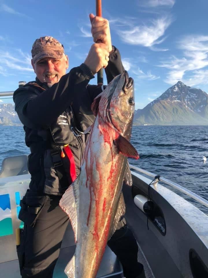 Myrland Lofoten Glampingdome מראה חיצוני תמונה